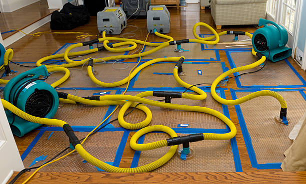Professional Water Damage Repair technician working in Redwood, TX
